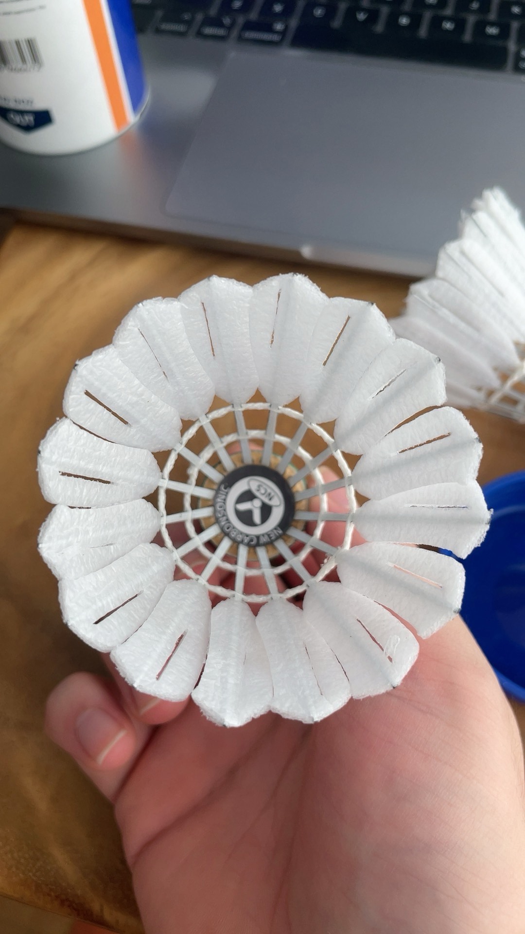 中国女足将 中国女足将